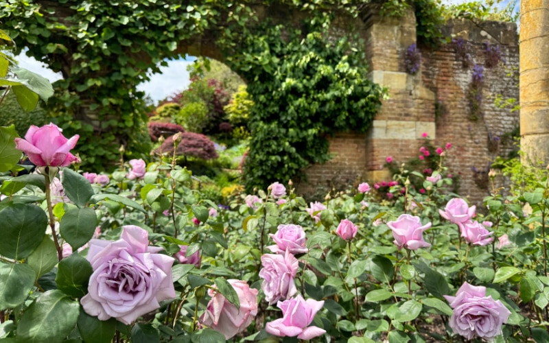'Twice in a Blue Moon' at Hever Castle 