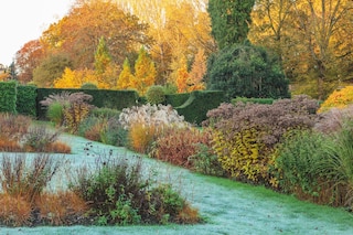 The Old Vicarage