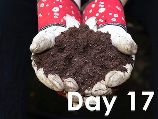 day-17-peat-free