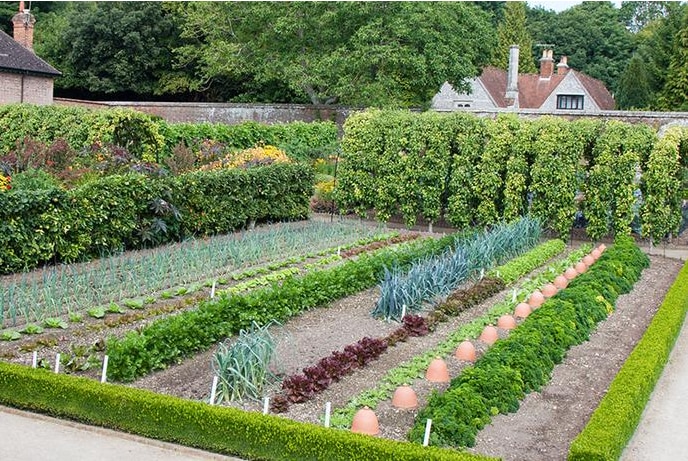 walled kitchen gardens