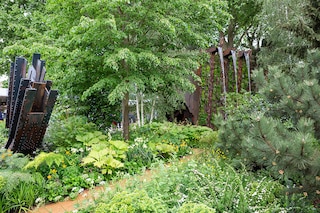 sustainability at chelsea
