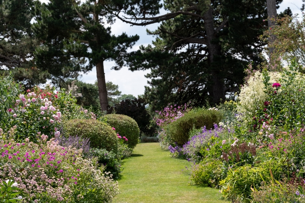 prettyflowerbordersatkiftsgatecourtgardensgloucestershireinthe