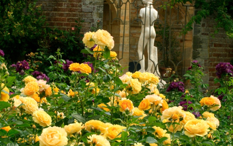 'Absolutely Fabulous' at Hever Castle