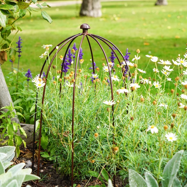 Outdoor plant support