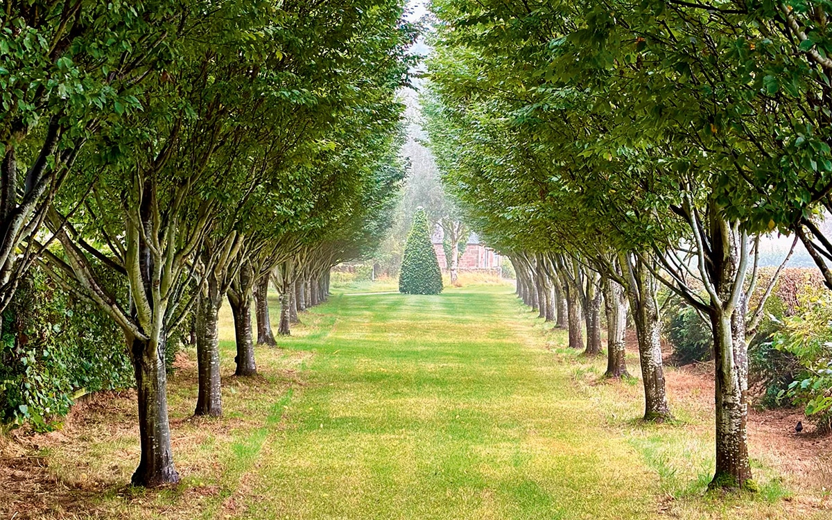 Broadwoodside, Scotland