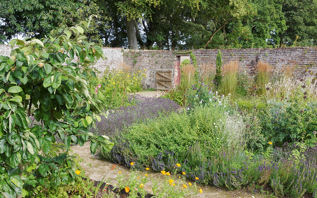 Herb-filled parterre beds at Hospitalfield 