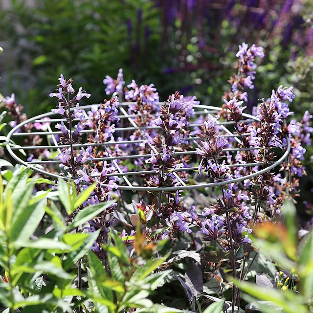 Elegance round grow through frame