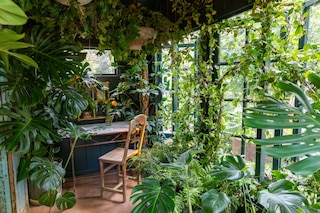 The Conservatory Petersham Nurseries 