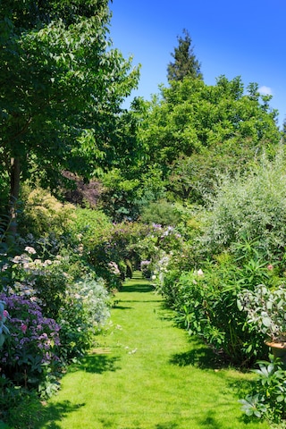 A beautiful garden path with a lawn and flower borders