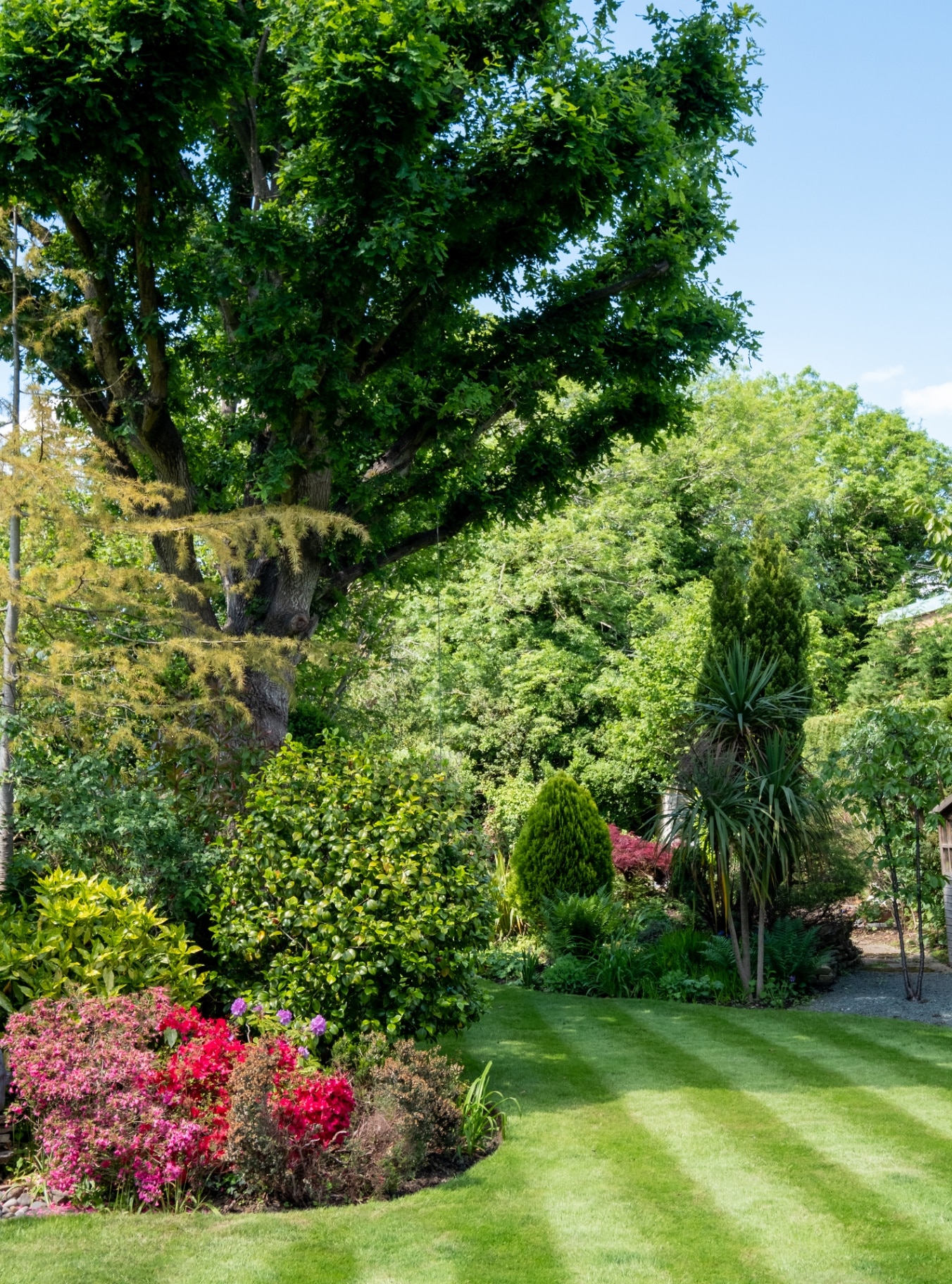 Suburban garden with neatly mown striped lawn