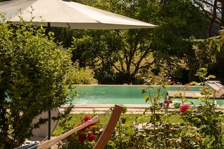 Swimming pool in a beautiful mediterranean garden landscape. A parasol, flowering rose bushes and part of a hammock protrude into the picture. Emerald green water
