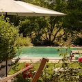 Swimming pool in a beautiful mediterranean garden landscape. A parasol, flowering rose bushes and part of a hammock protrude into the picture. Emerald green water
