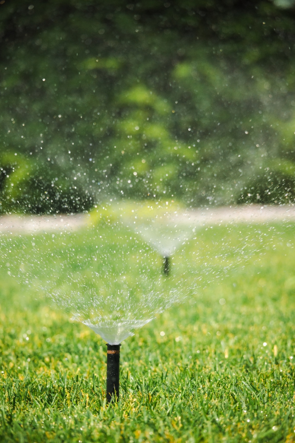 Automatic sprinkler watering a green lawn 