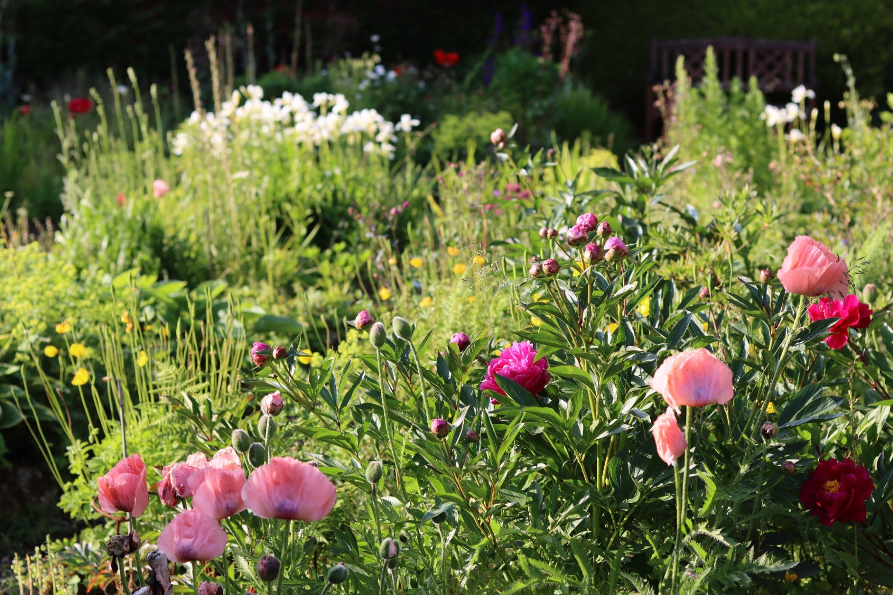 Cottage garden with a bed of colourful flowers
