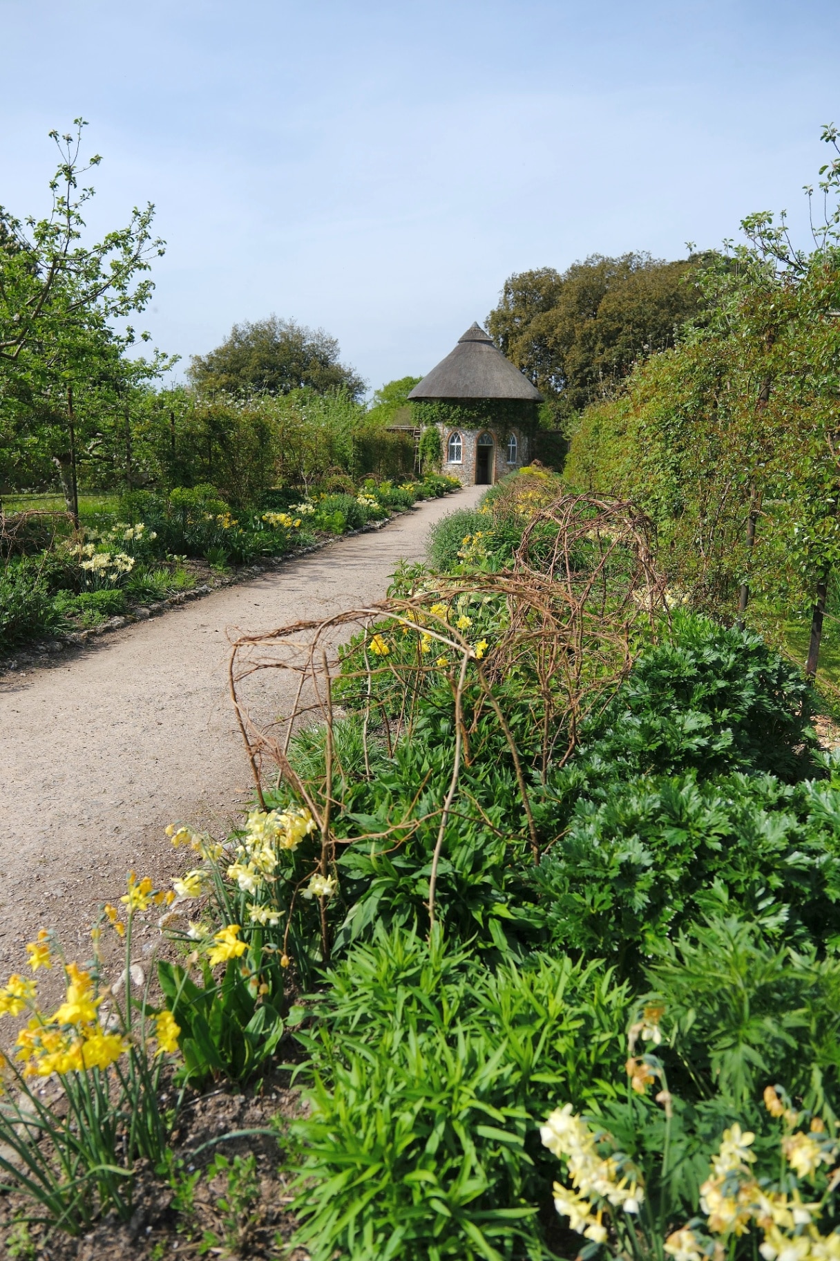 West Dean, West Sussex, England. May 1st 2025. Pathway through the walled garden with flowers and greenery in Spring. West Dean Gardens.