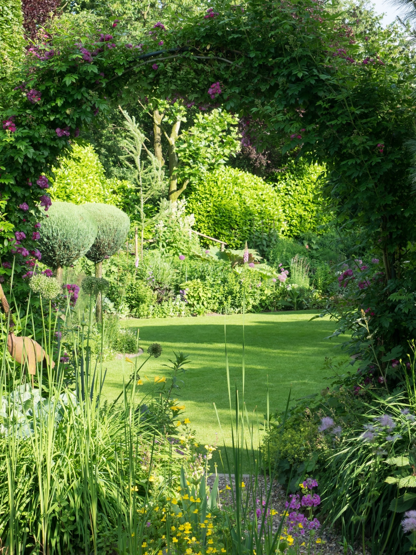 summer in the garden