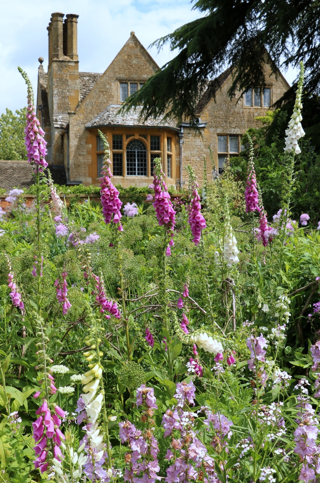 english cottage garden with thimbles and manor house in Hidcote Manor garden
