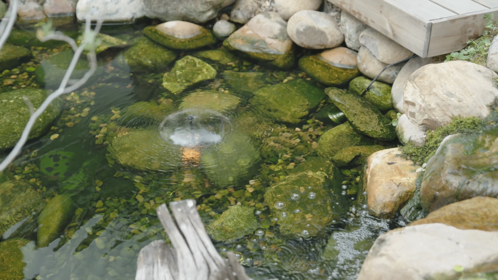  Solar fountain pumps