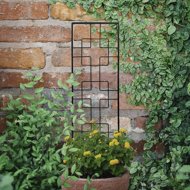 Zen decorative steel pot trellis