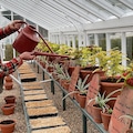 West Dean's head gardener Tom Brown trials composts in the garden's glasshouses.