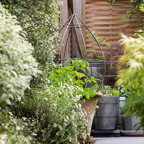 Tear drop plant support