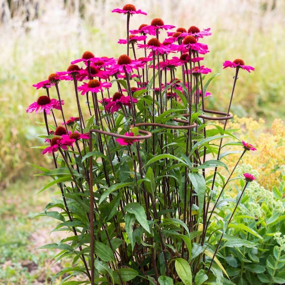 Elegance ripple plant supports 