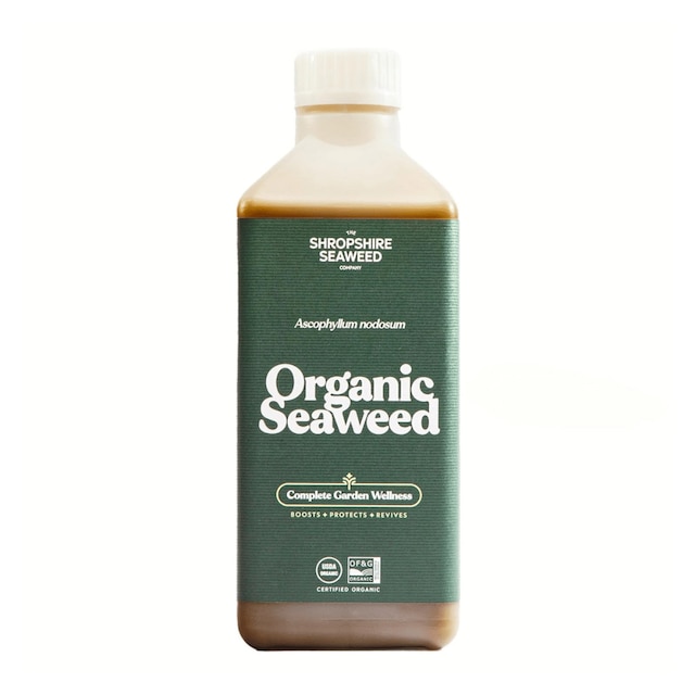 Organic Seaweed