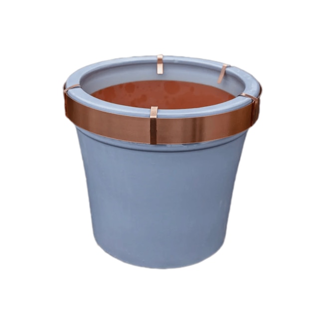 Large copper plant ring