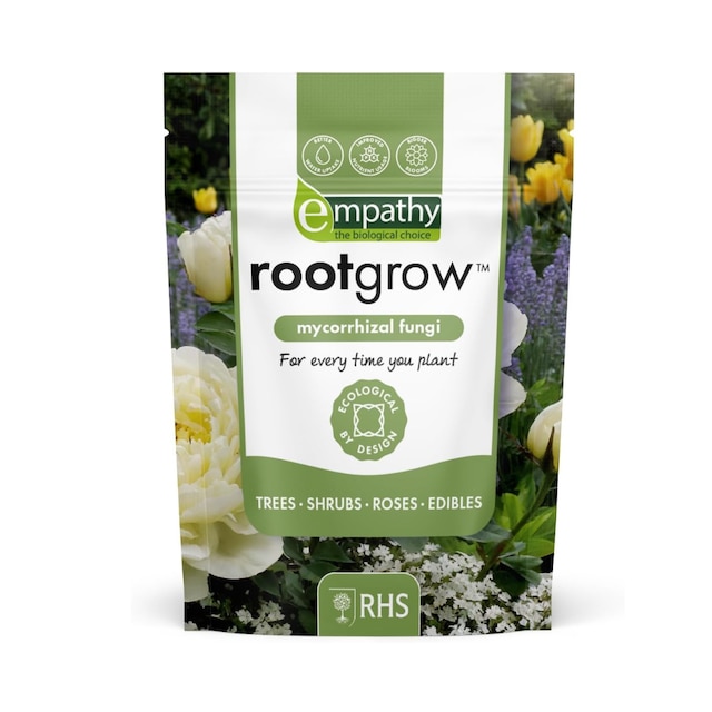 Mycorrhizal fungi