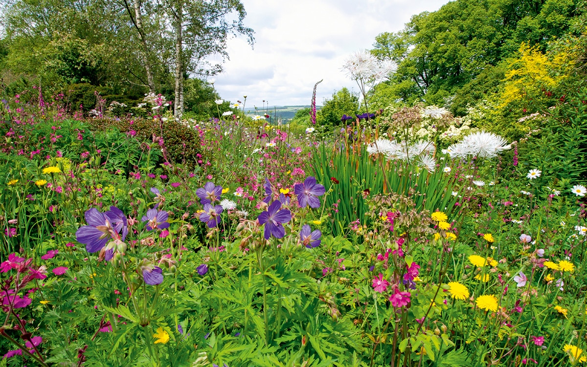 The Garden House, Devon