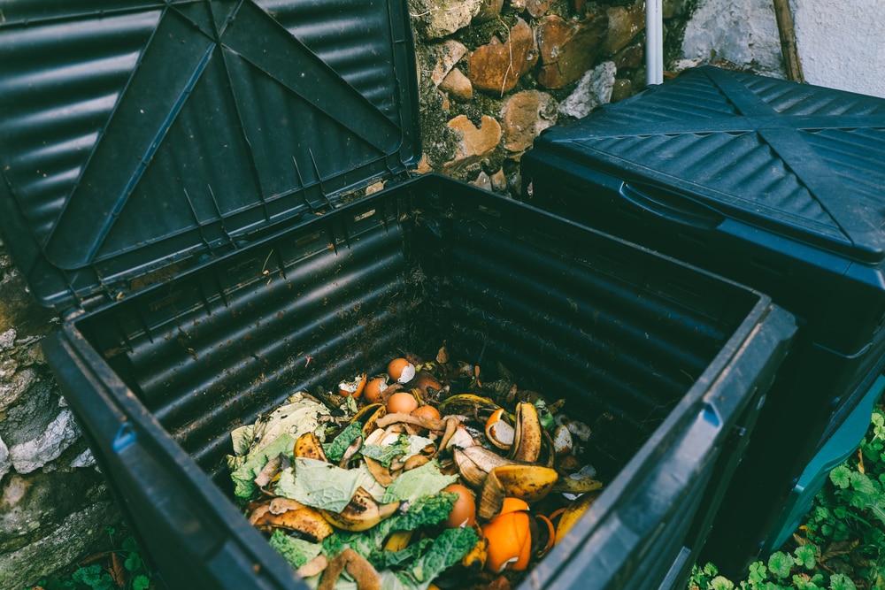 Close up view of organic waste inside compost bin