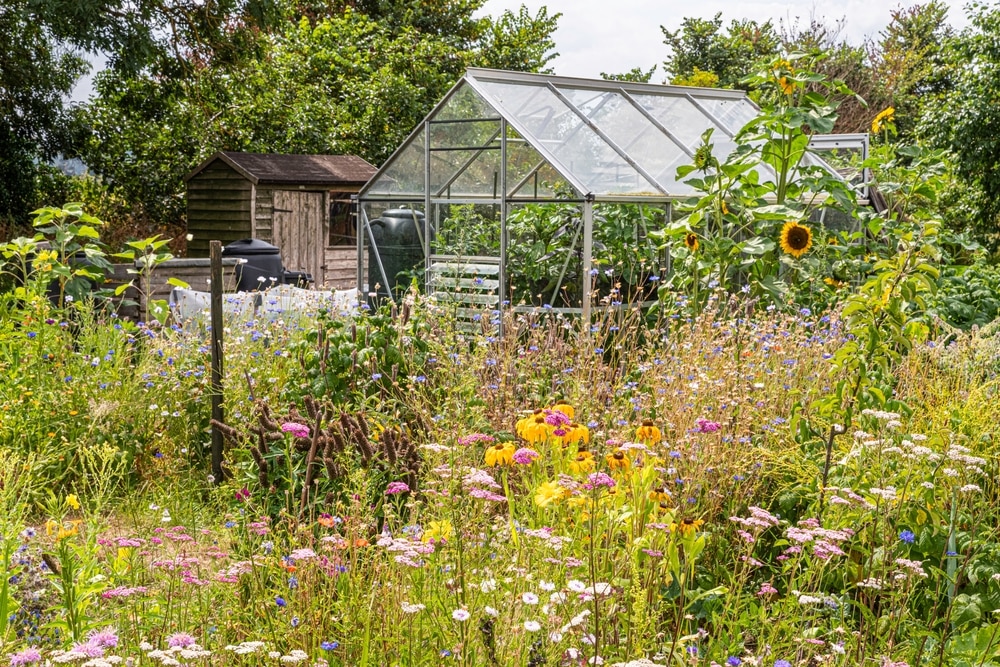 Best allotment kit