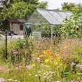 Best allotment kit