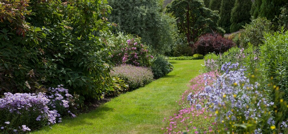 English country garden with mixed borders and many blooming flowers.