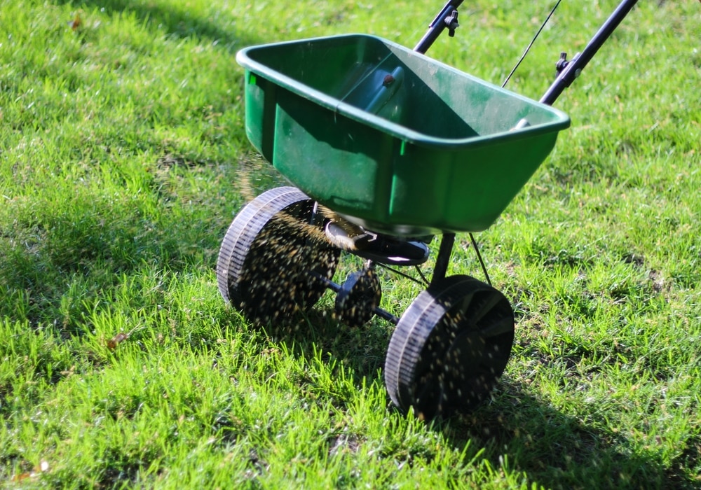 Close-up of a green broadcast seed or fertilizer spreader in a yard.