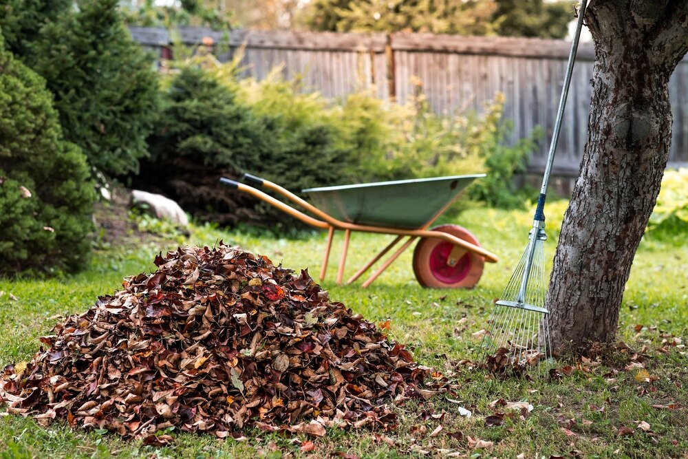 Leaf mould 
