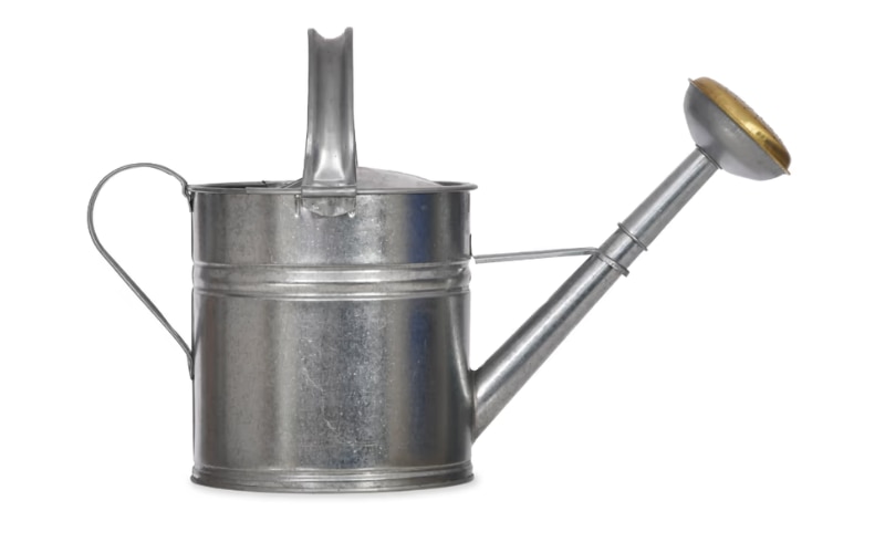 Classic Watering Can 5L Silver