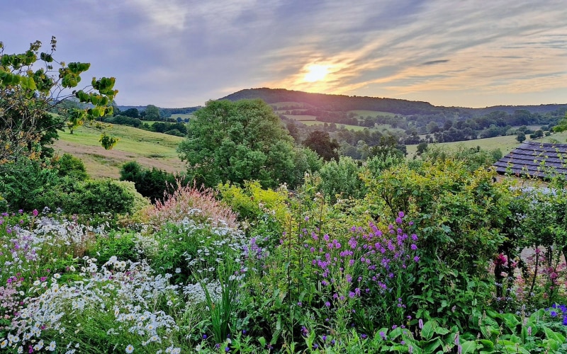 Painswick, Gloucestershire, England, UK, 06.24.2014, sunrise over a cottage garden in full bloom.