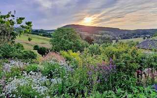 Painswick, Gloucestershire, England, UK, 06.24.2014, sunrise over a cottage garden in full bloom.