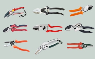 best anvil secateurs