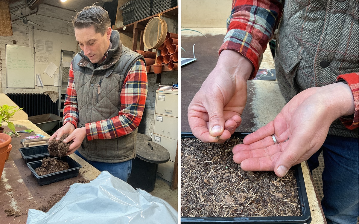 Tom Brown West Dean peat free compost trials