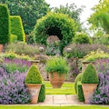 Town Place Garden, West Sussex