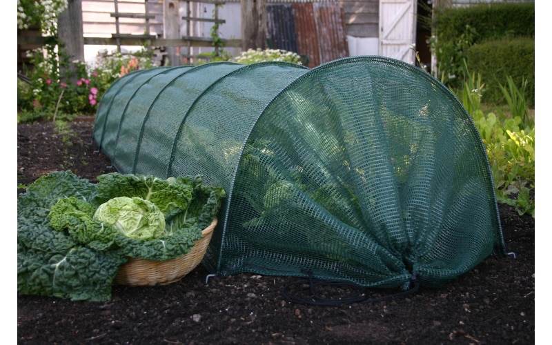 large-green-net-tunnel-from-crocus