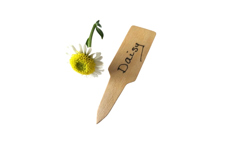 Wooden Stubby Plant Label